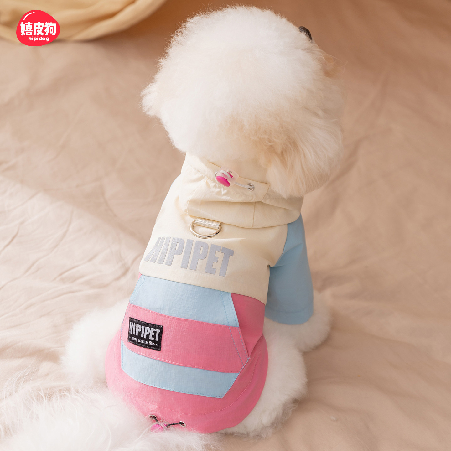 嬉皮狗小狗狗冲锋衣服