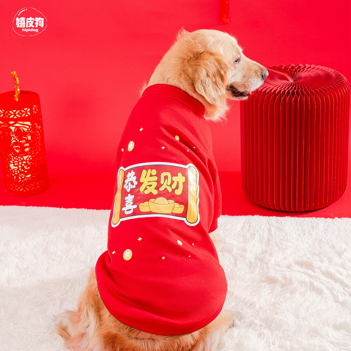 狗狗衣服冬装2025新款冬金毛边牧萨摩耶宠物中大型犬新年红色卫衣