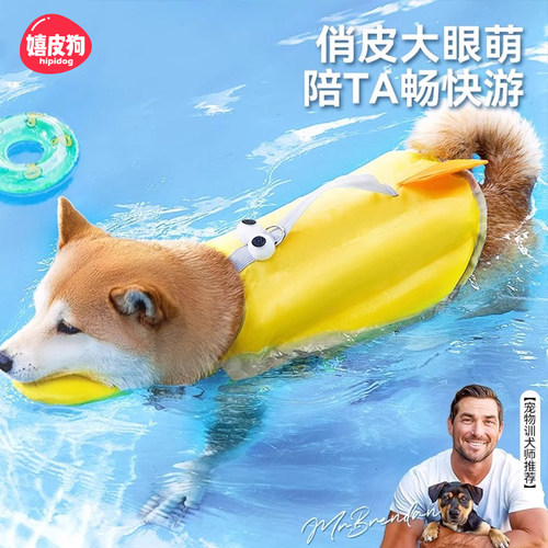 狗狗衣服宠物猫咪夏季款小狗泰迪比熊雪纳瑞小型犬大眼萌仔救生衣