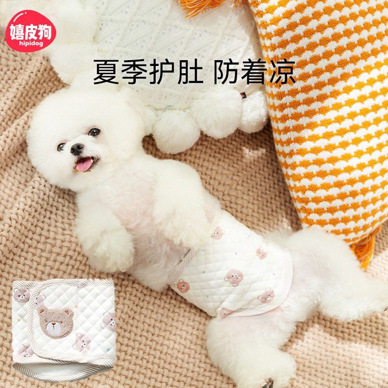 公狗专用礼貌带纸尿裤中小型犬