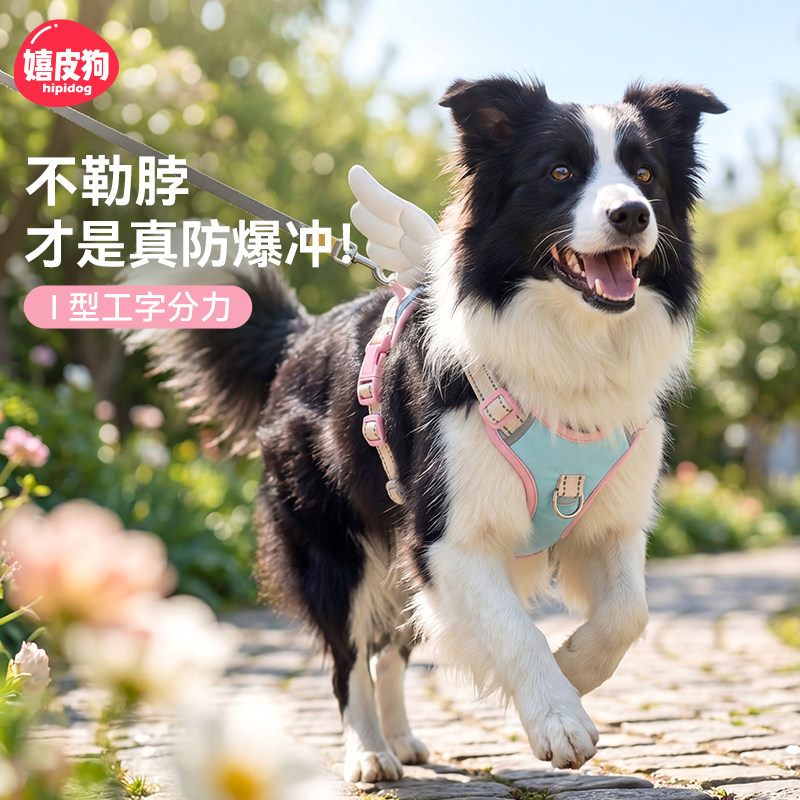 狗狗牵引绳胸背带天使翅膀大中小型犬外出专用遛狗绳子链子防挣脱图片