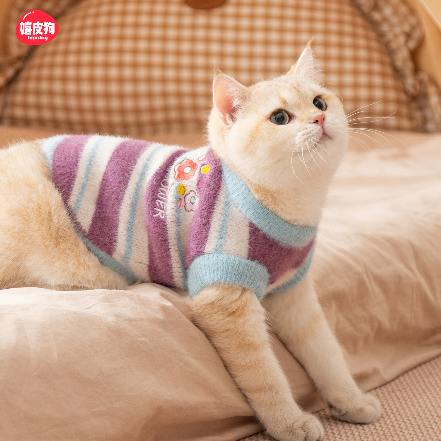 猫咪衣服防掉毛薄款无毛阿比西尼亚小猫幼猫猫宠物德文猫衣服毛衣