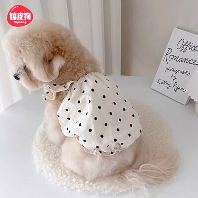 小狗狗公主风裙，波点元素超吸睛