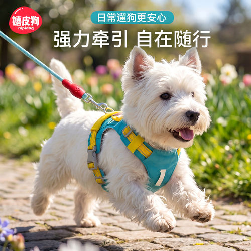 背心式狗狗牵引绳小型犬泰迪比熊博美幼犬胸背带宠物狗链子遛狗绳