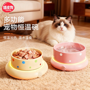 恒温猫咪饮水机酸奶机加热水碗冬季 温度可调宠物狗狗陶瓷碗喝水器