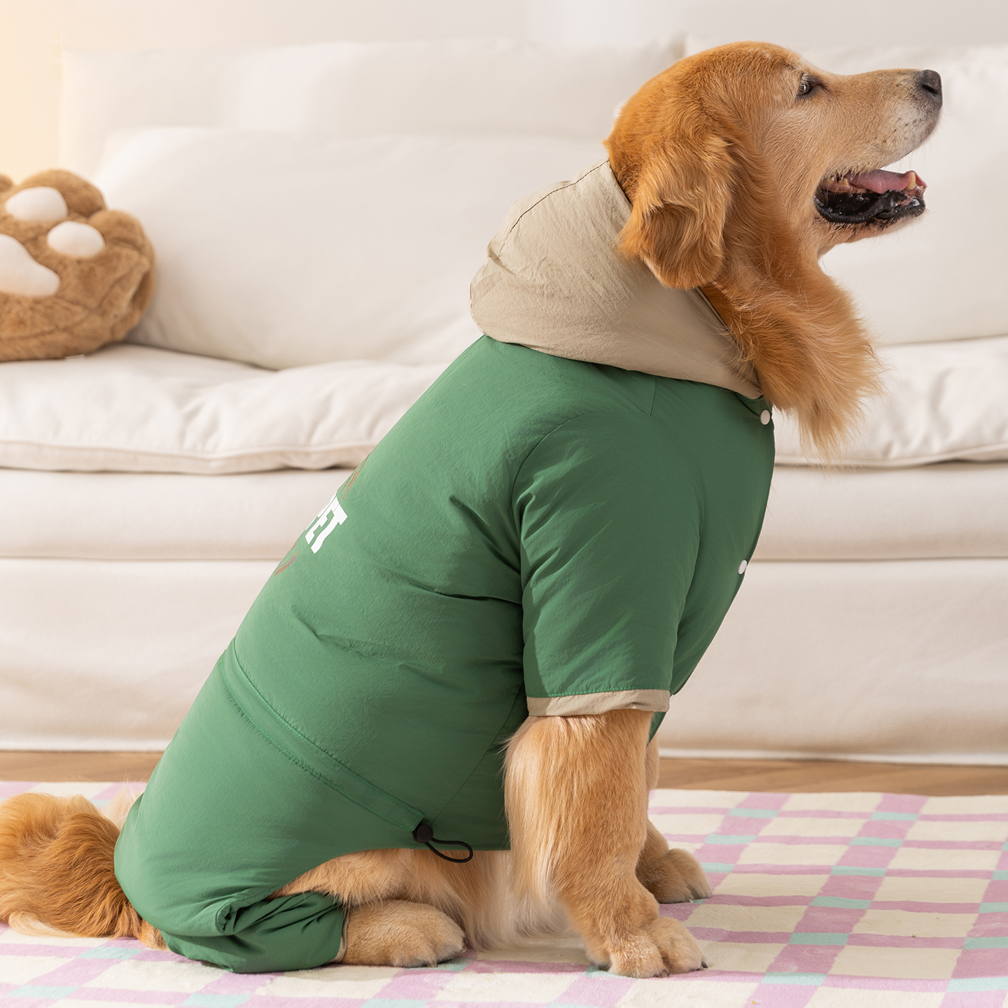 狗狗衣服冬装2025新款秋金毛边牧萨摩耶拉布拉多宠物中大型犬衣服