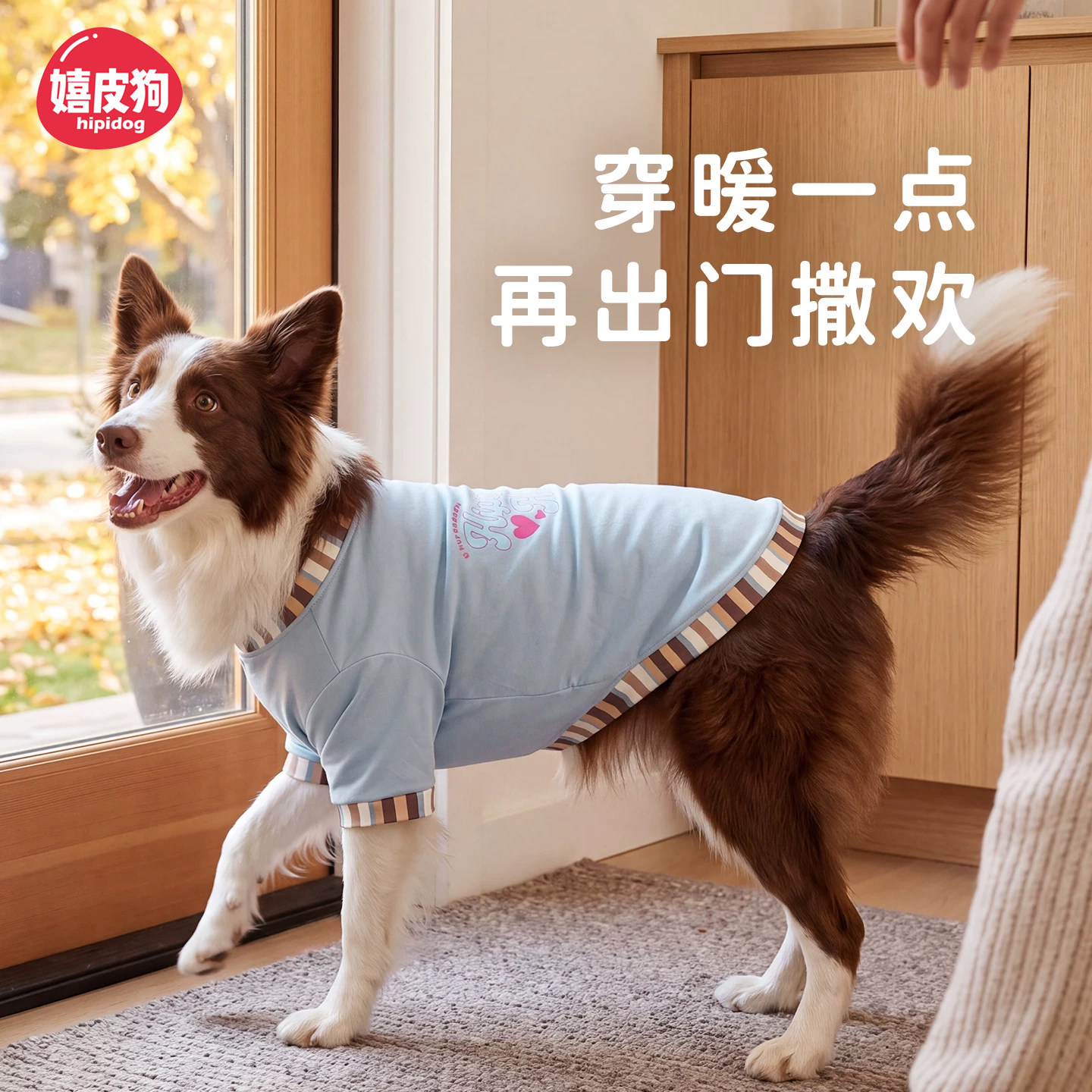 嬉皮狗中大型犬衣服秋冬保暖打底衫边牧金毛防掉毛居家服宠物卫衣