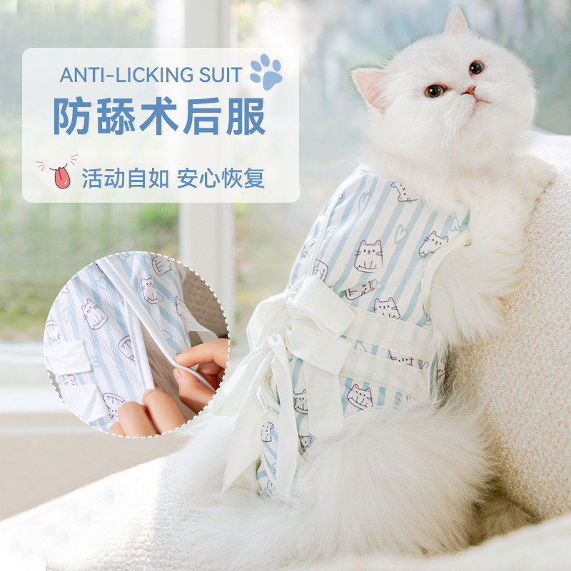 猫咪绝育服母猫手术服透气猫猫蓝猫防掉毛断奶术后防舔宠物衣服