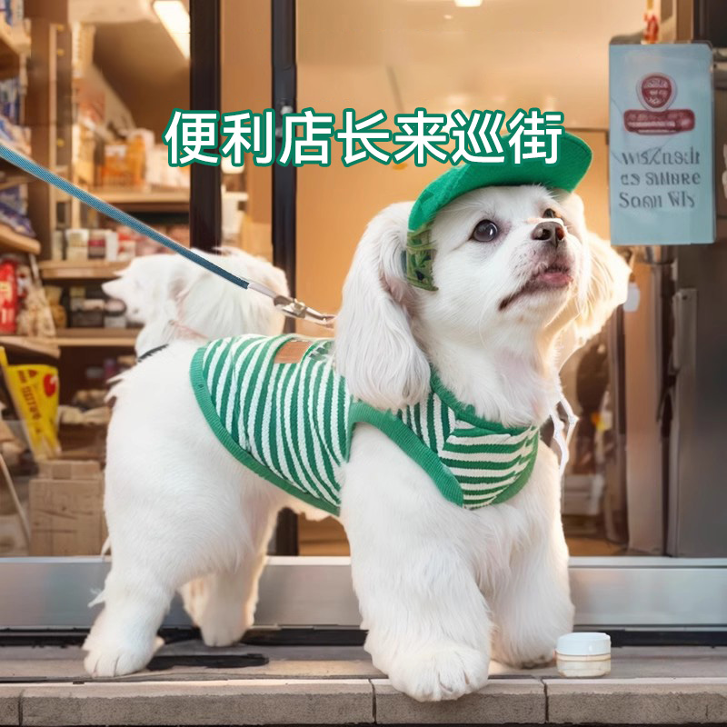 嬉皮狗条纹针织小狗搞怪牵引背心