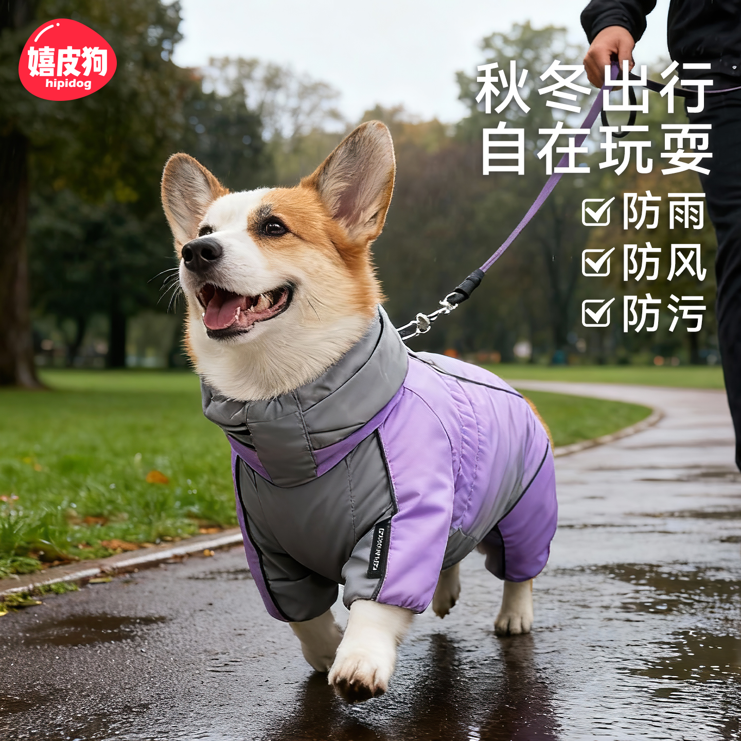 狗狗衣服2025新款冬装比熊棉衣泰迪柯基冲锋衣小型犬宠物小狗衣服