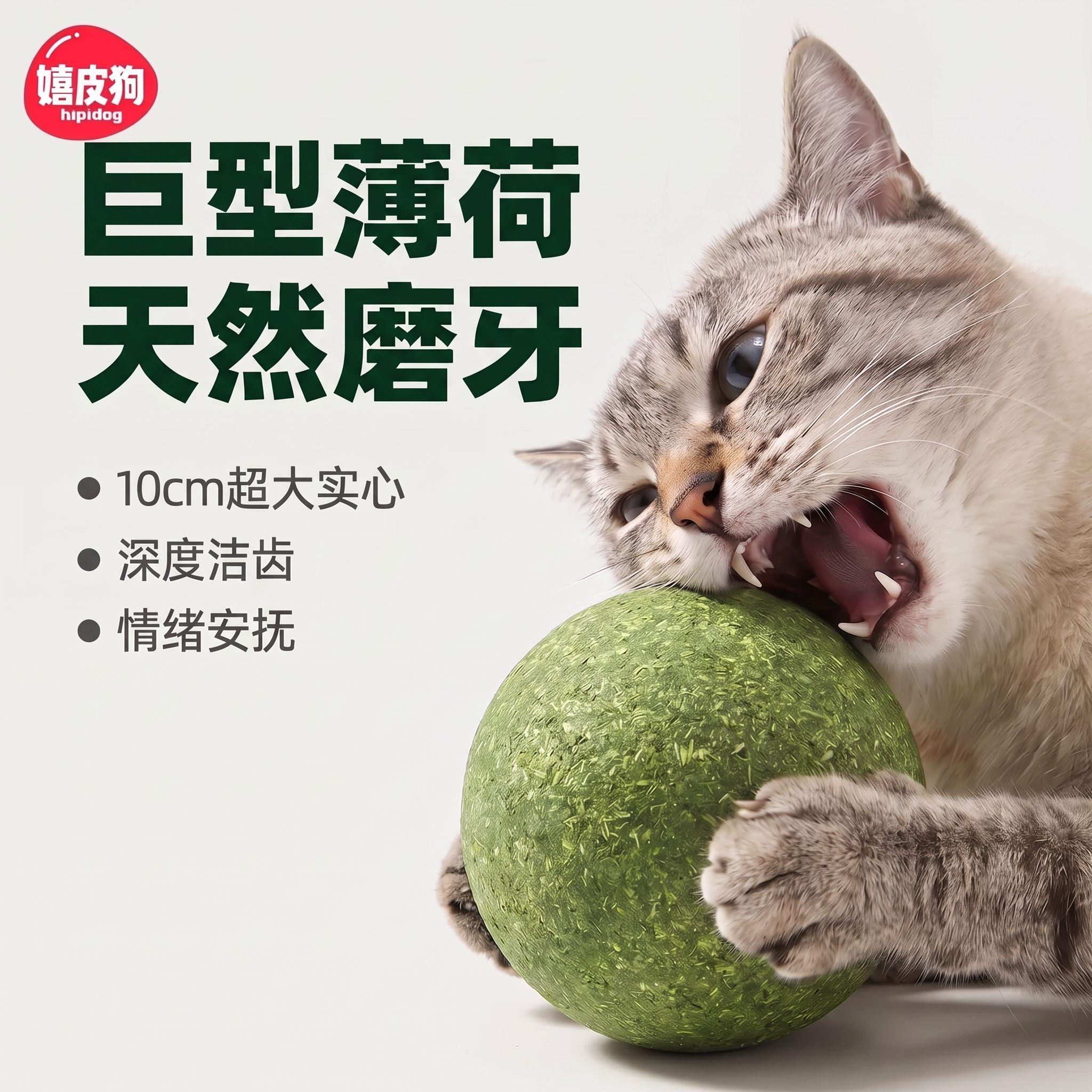 巨型实心天然木天蓼薄荷磨牙球图片