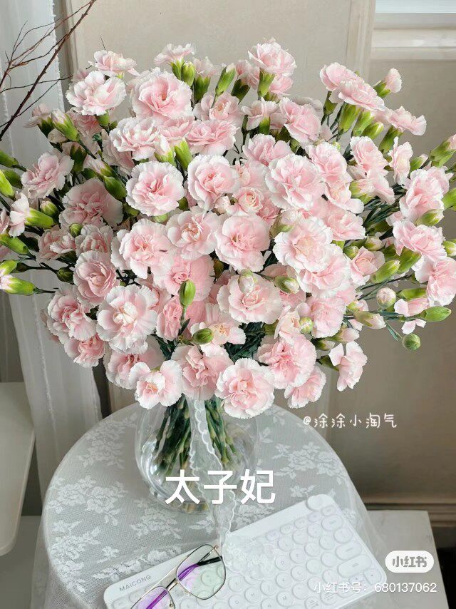 太子妃多头康乃馨多丁18-20支