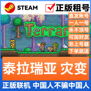 泰拉瑞亚 灾变 Steam游戏账号正版出租 租号 账密直登 多人联机