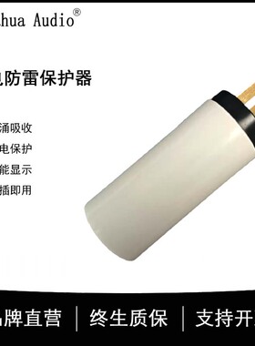 Labahua Audio防雷保护器浪涌吸收插头电源插座即插即用转换器