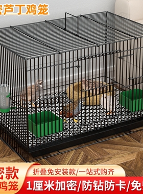 芦丁鸡专用笼加密雏鸡笼室内家用大号鹌鹑笼柯尔鸭笼小黄鸭笼包邮