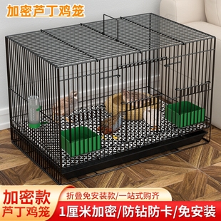 包邮 芦丁鸡专用笼加密雏鸡笼室内家用大号鹌鹑笼柯尔鸭笼小黄鸭笼