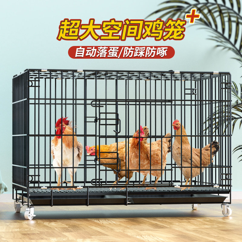 包邮鸡笼子家用大号特大养殖鸡笼折叠笼鸭笼鹅笼鸡舍自动滚蛋鸡笼