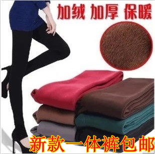 Chaussettes - collants simple - Ref 770123 Image 10