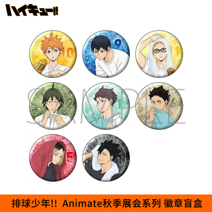 博览会animate休憩时光徽章吧唧日向翔阳月岛萤日本 排球少年秋季