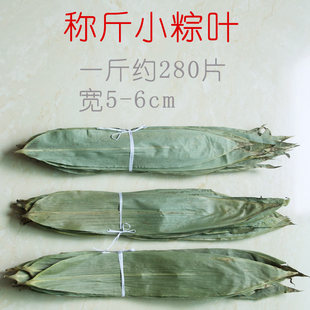 称斤小粽叶 天然野生农家摘粽子叶 新鲜烘干一口迷你粽叶非芦苇叶