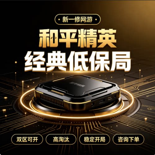 和平精英打段位分代练上分打KD打淘汰分低保房王牌战神非 人机房