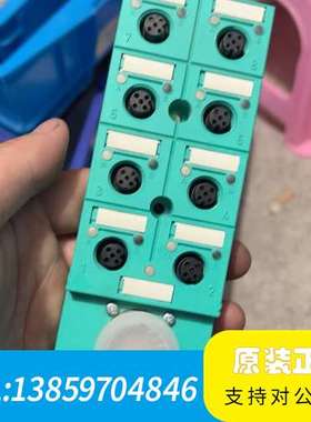 PEPPERL＋FUCHS倍加福180248 V1-8A-E议价