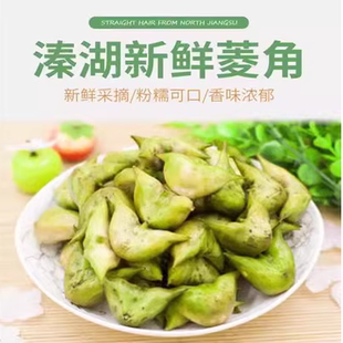 苏北特产溱湖新鲜菱角带壳嫩老菱角2角青菱角现摘发货