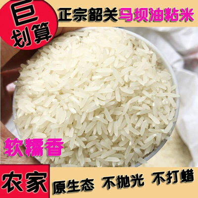 广东韶关正宗马坝油粘米新米象牙