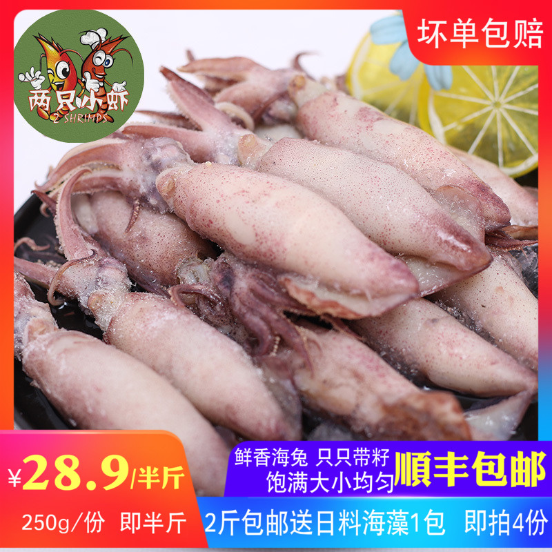 【两只小虾】海兔满籽墨鱼仔鲜活笔管鱼冷冻乌贼墨斗鱼冷冻乌贼