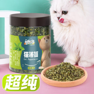 憨憨乐园 猫零食猫薄荷 天然猫薄荷 吐毛球幼猫猫咪零食猫薄荷 猫