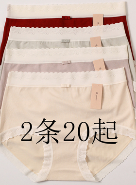 小兰裙W027磨毛内裤女秋冬舒适绒感亲肤多色大弹力中腰三角纯棉裆