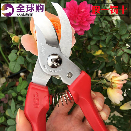 修枝剪果树剪刀爱丽斯