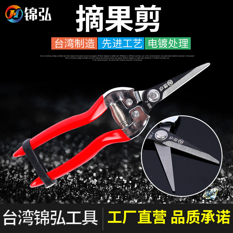 台湾进口不锈钢修枝剪园艺剪刀疏花疏果剪长嘴葡萄摘果剪子采摘剪,鲜花速递/花卉仿真/绿植园艺,剪刀,淘宝优惠券,粉丝福利购,淘宝优惠卷