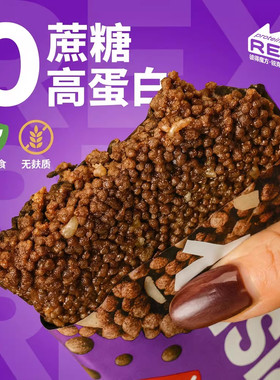 俄罗斯REX蛋白曲奇0蔗糖低热量