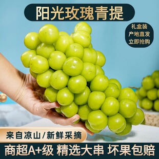 西昌阳光玫瑰葡萄新鲜无籽青提晴王提子香印顺丰包邮5斤孕妇水果
