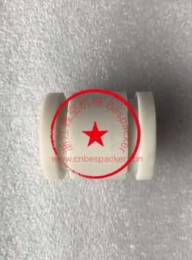 活塞+12788CDGT100-006