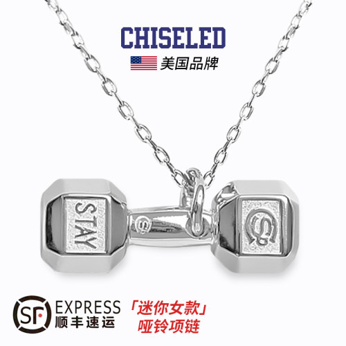 chiseled麒司特美国迷你哑铃项链
