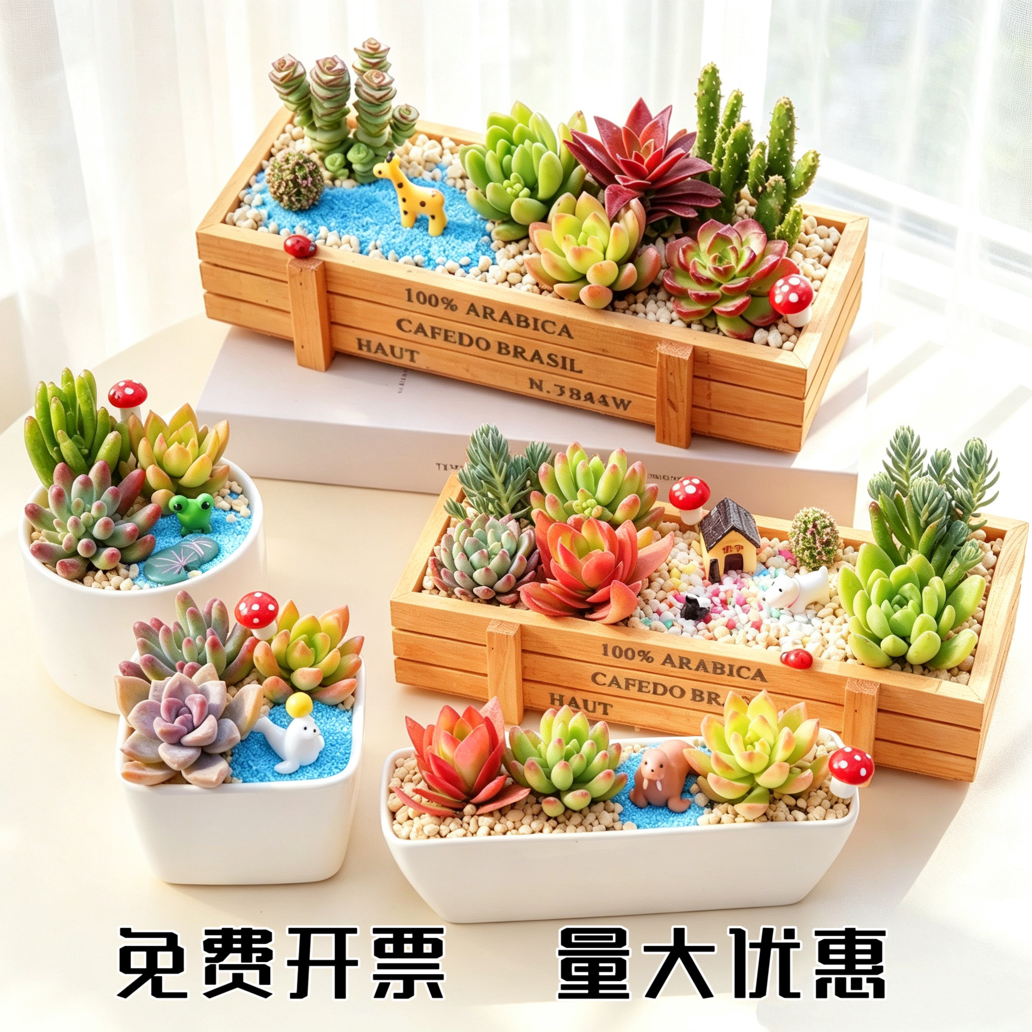 多肉植物组合盆栽套餐桌面微景观DIY套餐含花盆肉肉植物室内绿植