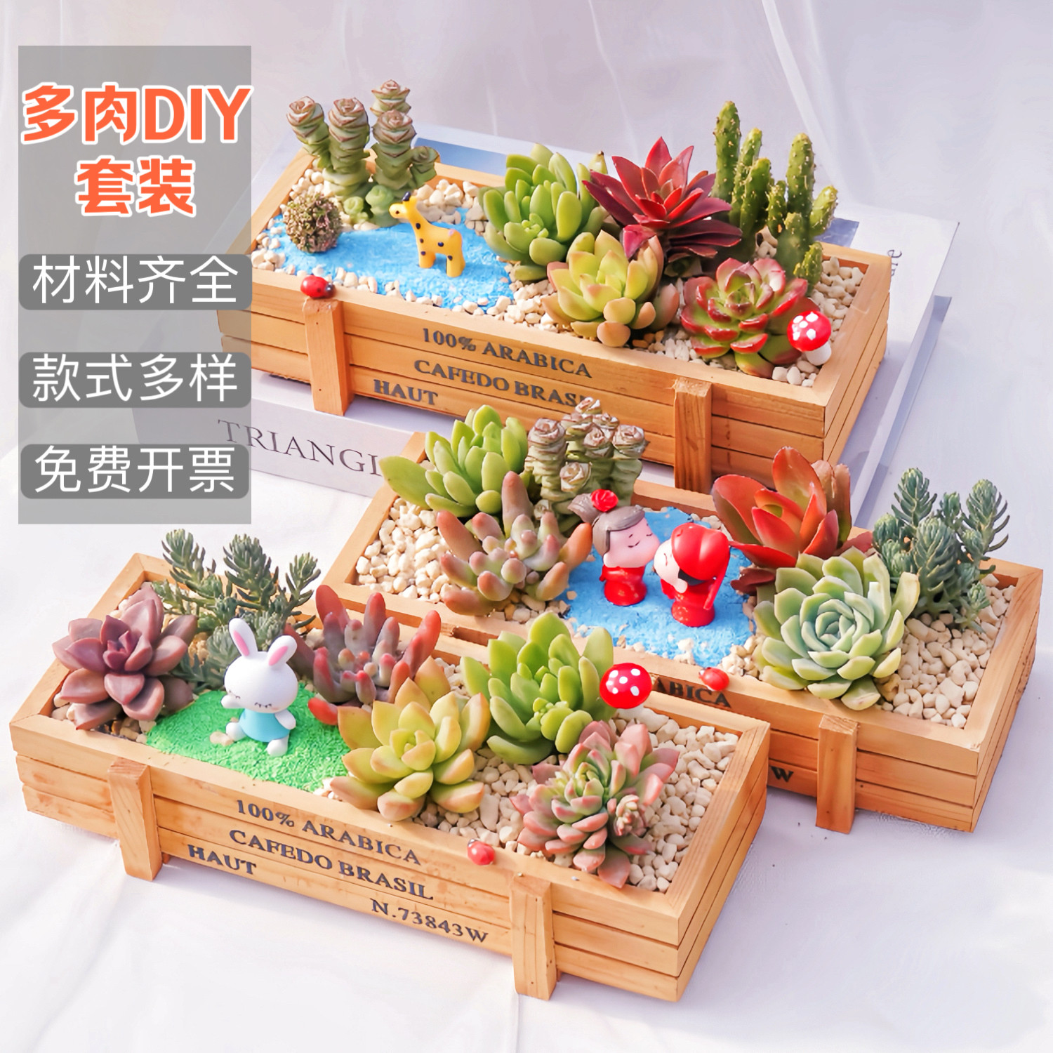 多肉植物组合盆栽含花盆含土桌面绿植花卉室内创意肉肉DIY套餐