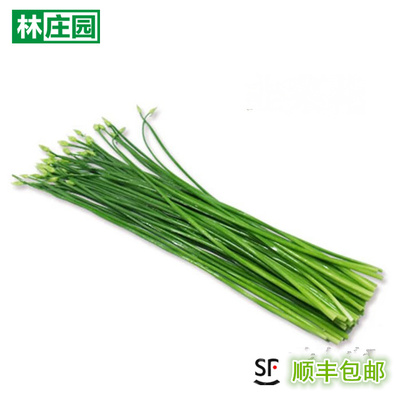 林食用农产品庄园500g 广东韭菜花新鲜时鲜蔬菜满任5件顺丰包邮