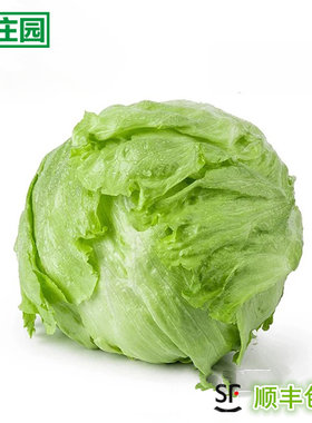 林庄园球生菜600g 西生菜圆生菜新鲜有机沙拉色拉蔬菜 满5件包邮