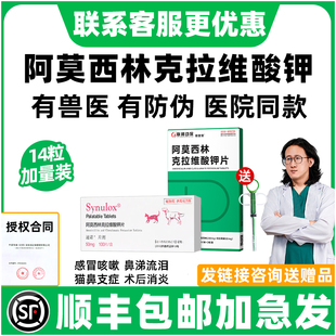 阿莫西林克拉维酸钾片猫宠物狗狗感冒药鼻支喷嚏流涕速猫诺消炎片