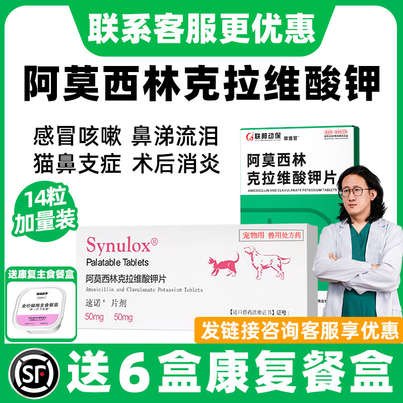 阿莫西林克拉维酸钾片猫宠物狗狗感冒药鼻支喷嚏流涕猫鼻支消炎片,宠物/宠物食品及用品,猫呼吸道疾病药品,淘宝优惠券,粉丝福利购,淘宝优惠卷