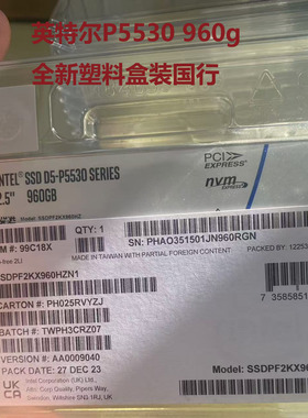 INTEL/英特尔 P5530 960G