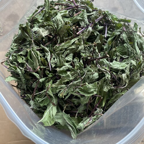 正宗四川野生土薄荷干泡茶太阳晒干食用泡水新鲜酒水吧调酒清凉茶