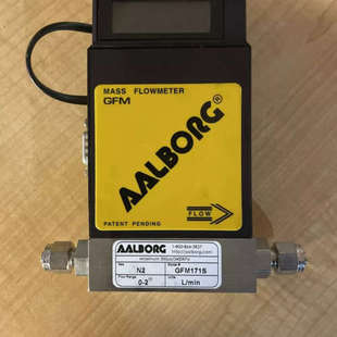 meter AALBORG Mass Flow GFM171S Model