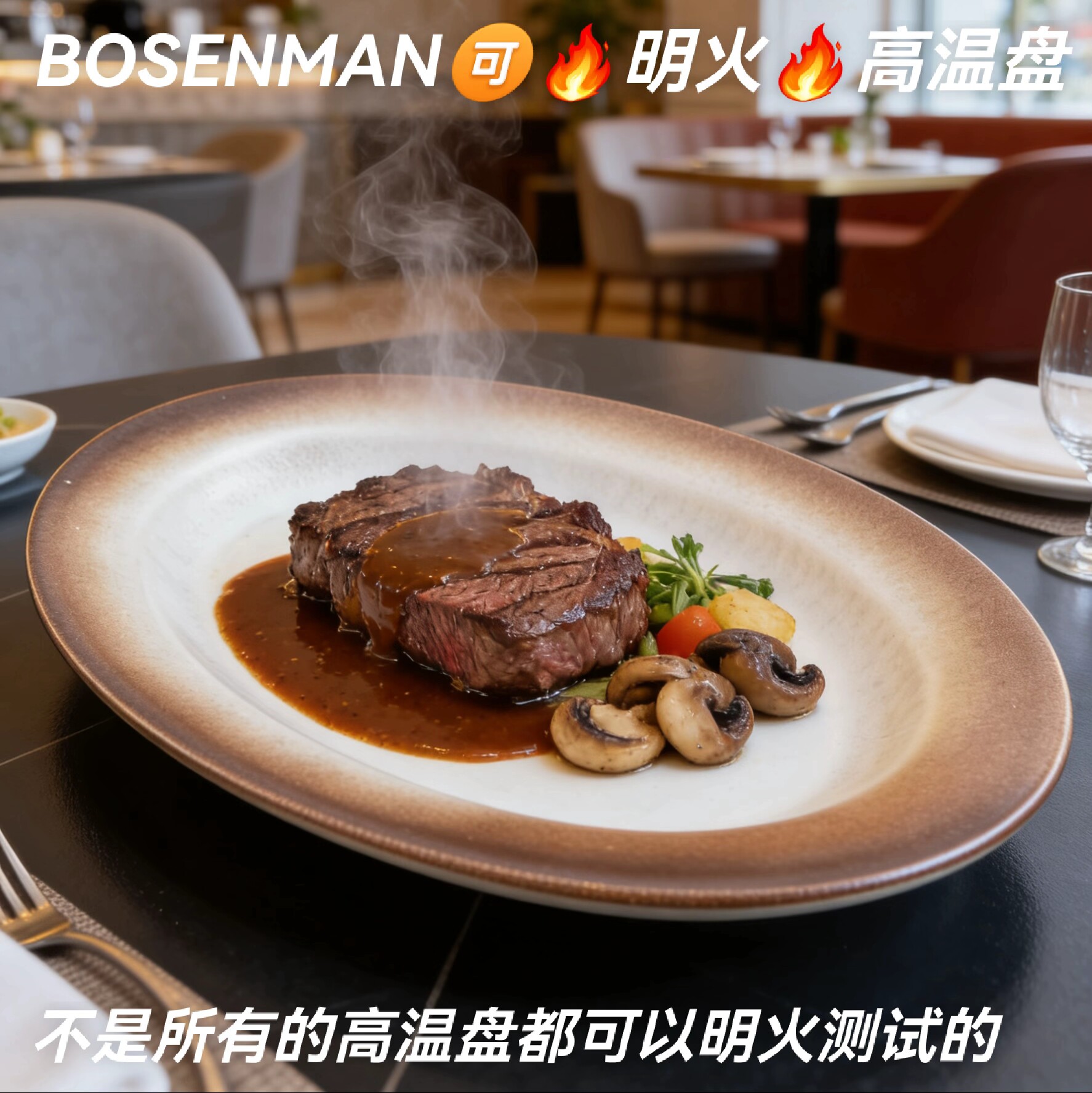 可明火加热耐高温陶瓷盘