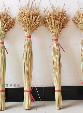 真花稻穗干花水稻丰收稻谷稻子家居装饰会展布置拍摄道具田园植物