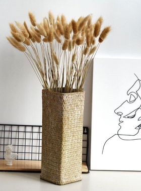 天然兔尾草干花永生文艺