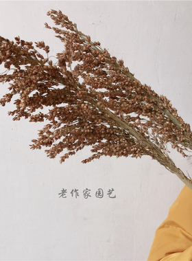 拍摄道具客厅原生态真花高梁